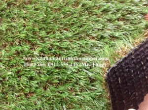 Công Ty TNHH Đầu Tư Thương Mại Xuất Nhập Khẩu Trình Thuận Phát