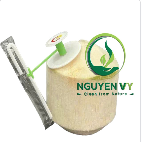 Nông Sản Ngọc Nguyên Vy – Công Ty TNHH TM DV XNK Ngọc Nguyên Vy