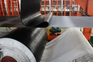 Công Ty TNHH Hợp Tác Xuất Nhập Khẩu Việt