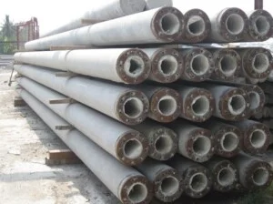 Bạch Đằng 5 – Công Ty Cổ Phần Bạch Đằng 5
