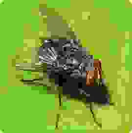 Công Ty TNHH MTV Giải Pháp Công Nghệ Nano Vina