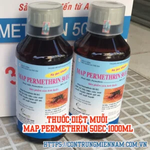 Công Ty TNHH Diệt Mối Và Côn Trùng Thái Dương