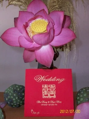 Thiệp Cưới Thủ Công Cao Cấp In  Xuân  Tân