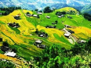 Công Ty TNHH Cơ Hội Vàng Việt Nam