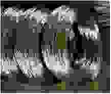 Dây Thép Việt – Công Ty CP Cơ Khí Thép Việt