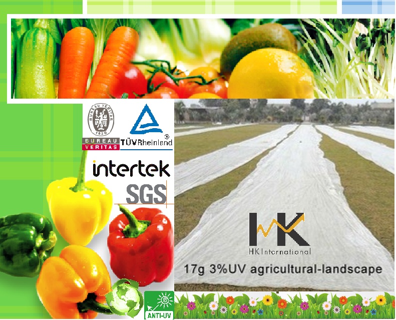 Túi Vải Không Dệt Hà Khánh – Công Ty TNHH Quốc Tế Hà Khánh