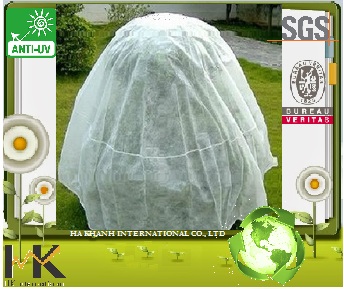 Túi Vải Không Dệt Hà Khánh – Công Ty TNHH Quốc Tế Hà Khánh