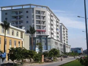 Công Ty TNHH Kiểm Toán Và Định Giá Việt Nam