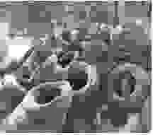 Dây Thép Việt – Công Ty CP Cơ Khí Thép Việt