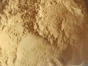 Công ty TNHH Nông Nghiệp Nosago