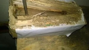 Công Ty TNHH MTV Diệt Mối Hồng Đồ   – Diệt Mối Hạ Long