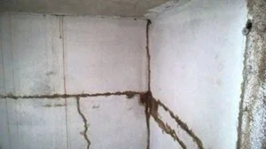 Công Ty TNHH MTV Diệt Mối Hồng Đồ   – Diệt Mối Hạ Long