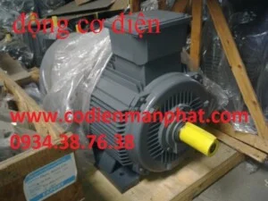 Công Ty TNHH Thương Mại Dịch Vụ Mẫn Phát