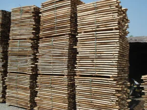 Công Ty TNHH MTV Gỗ Gia Huy Phát