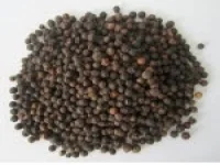 Công Ty Cổ Phần Cà Phê Petec