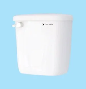 Sứ Thiên Thanh – Công Ty CP Sứ Thiên Thanh