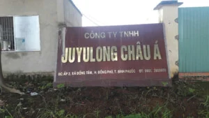 Gỗ Ghép Thanh Đồng Tâm – Công Ty TNHH SX Gỗ Đồng Tâm