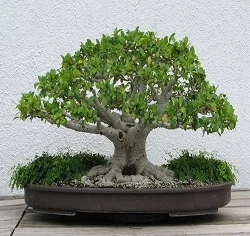 Công Ty TNHH Xây Dựng Thương Mại Dịch Vụ Biên Hòa