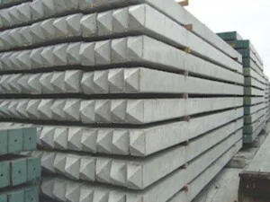 Bạch Đằng 5 – Công Ty Cổ Phần Bạch Đằng 5