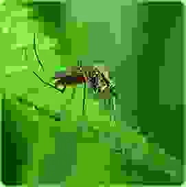 Công Ty TNHH MTV Giải Pháp Công Nghệ Nano Vina