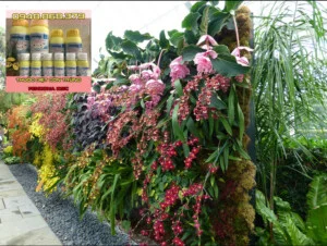 Công Ty TNHH Diệt Mối Và Côn Trùng Thái Dương