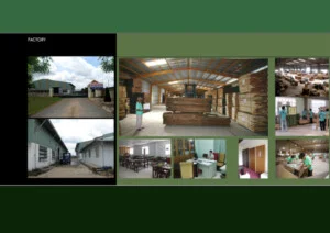 Công Ty Cổ Phần Việt Can Hà Nội