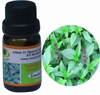 Cơ sở tinh dầu Kiến Vàng