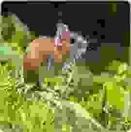 Công Ty TNHH MTV Giải Pháp Công Nghệ Nano Vina