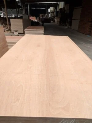 Ván ép AMC Việt Nam – Công Ty TNHH AMC Việt Nam