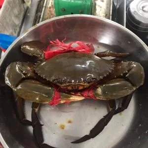 Công Ty TNHH Đại Duy An