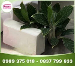 Giấy Tissue Việt Nam – Công Ty CP Thương Mại Và Sản Xuất Giấy Tissue Việt Nam