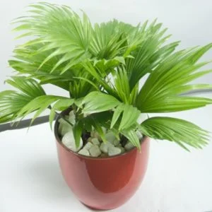 Công Ty Cổ Phần ứng Dụng Công Nghệ Xanh Hà Nội