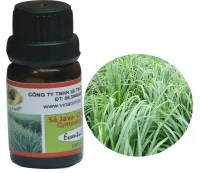 Cơ sở tinh dầu Kiến Vàng