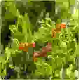 Công Ty TNHH MTV Giải Pháp Công Nghệ Nano Vina