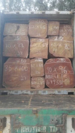 Gỗ Nhập Khẩu M.C.C – Công Ty TNHH MTV Giải Pháp Chuỗi Cung ứng M.C.C