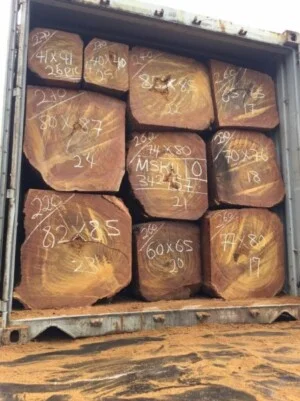 Gỗ Nhập Khẩu M.C.C – Công Ty TNHH MTV Giải Pháp Chuỗi Cung ứng M.C.C