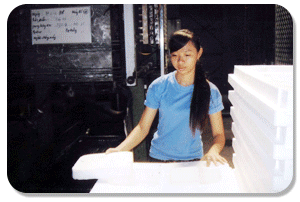 Xốp Phương Nam – Công Ty TNHH Nhựa Xốp Phương Nam