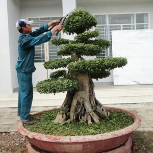 Công Ty Cổ Phần Công Trình Đô Thị Ninh Thuận