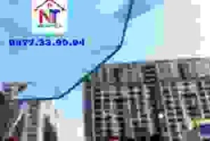 Công Ty TNHH Thương Mại Và Dịch Vụ Ngọc Thái