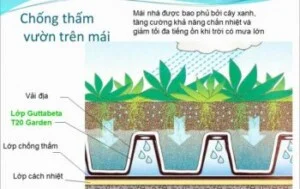 Công Ty TNHH Xây Dựng Và Thương Mại Pháp Việt
