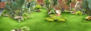 Công Ty Cổ Phần Công Trình Đô Thị Ninh Thuận