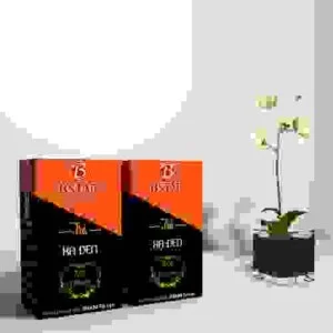 Trà BSTAR – Công Ty TNHH Thương Mại Và Dịch Vụ BSTAR