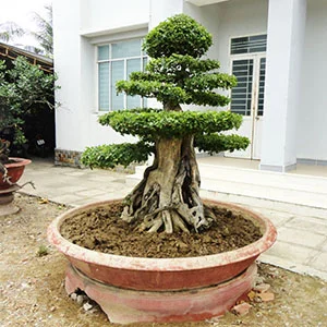 Công Ty Cổ Phần Công Trình Đô Thị Ninh Thuận