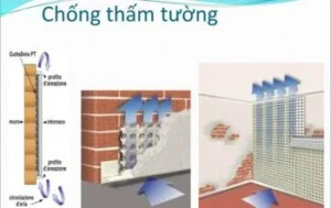 Công Ty TNHH Xây Dựng Và Thương Mại Pháp Việt