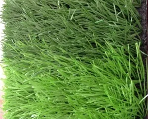 Công Ty TNHH Đầu Tư Thương Mại Xuất Nhập Khẩu Trình Thuận Phát