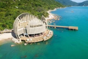 Công Ty Cổ Phần Trần Đức