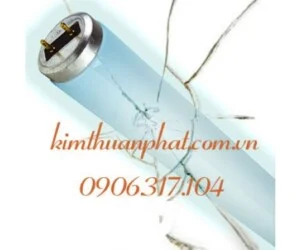 Công Ty TNHH Một Thành Viên Kim Thuận Phát