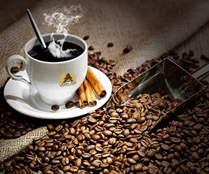 Cà Phê Võ Hùng – Công Ty TNHH SX – TM – DV Cà Phê Võ Hùng