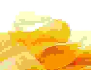 Công Ty Cổ Phần Nguyên Liệu Thực Phẩm Monova