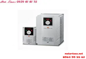 Công Ty TNHH Xuất Nhập Khẩu Thương Mại Dịch Vụ Tia Chớp